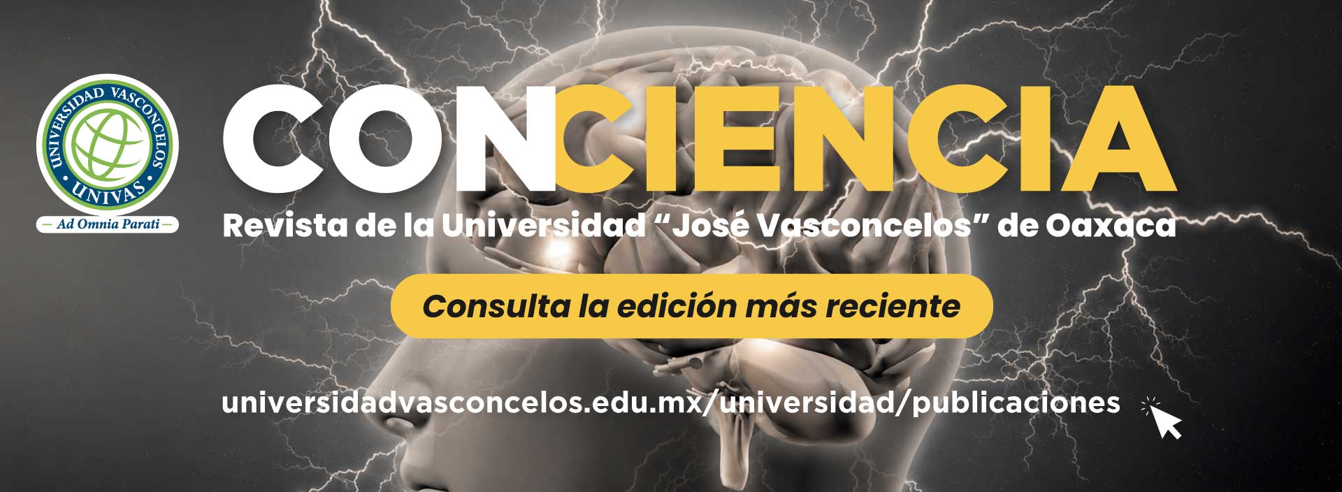 Slider Univas